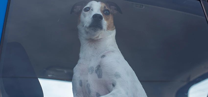 Car Lockout Solutions in Coachella, California